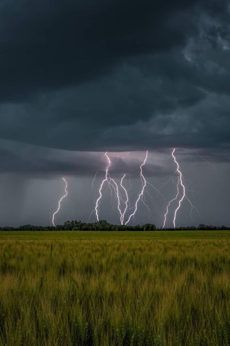 Thunder And Lighting, Thunder Photography, Lighting Storms, Gloomy Weather, Weather Science, Storm Art, Storm Photography, Photography Genres, World Wallpaper