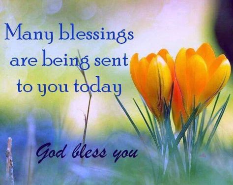 Many Blessings Are Being Sent To You Today, God Bless You life daily blessings blessing quotes life blessings Cute Flowers Wallpaper, Message For Daughter, God Bless You Quotes, Birthday Message For Daughter, Blessed Morning Quotes, Blessed Morning, 4th Of July Images, Week Blessings, July Images