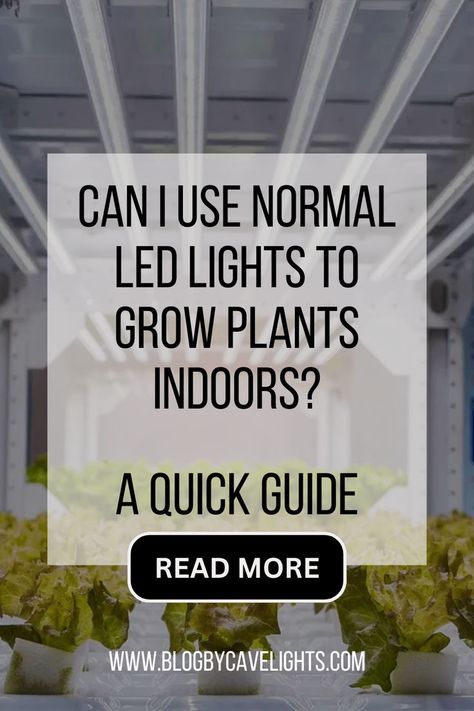 Can I Use Normal LED Lights to Grow Plants Indoors Grow Light Ideas, Grow Lights For Houseplants, Grow Plants Indoors, Best Grow Lights, Light Ideas, Grow Plants, Led Light Fixtures, Grow Light, Grow Lights