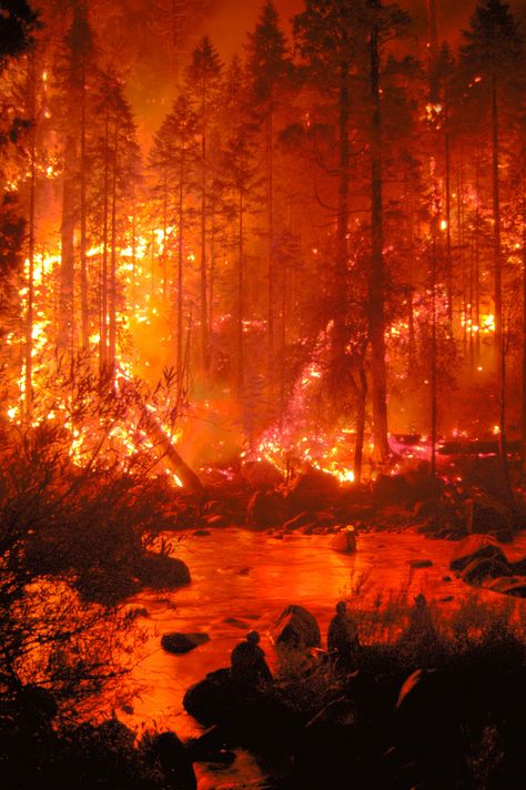 upon the stygian banks Fire Forest Aesthetic, Forest Fire Aesthetic, Fire Photo, Fire Photos, Fire Background, Fire Aesthetic, Wildland Fire, Fire Photography, Wild Fire