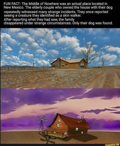 Found on iFunny Conspericy Theories, Da Fuq, Internally Screaming, Short Creepy Stories, Skin Walker, Childhood Ruined, Courage The Cowardly Dog, Cowardly Dog, Scary Facts