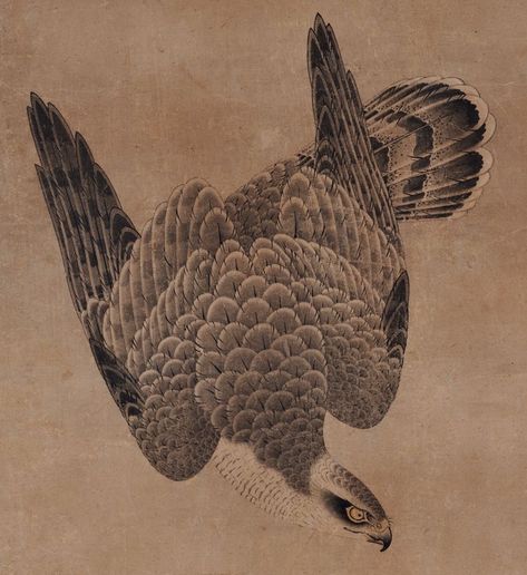 Japanese Falcon, Falcon Painting, Falcon Tattoo, Bodysuit Tattoos, Hawk Tattoo, Japanese Tattoo Symbols, Japanese Bird, Yakuza Tattoo, Arte Peculiar