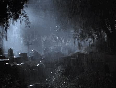 Horror Setting, Horror Gif, Moonlight Aesthetic, Halloween Gifs, Rain Gif, In The Pale Moonlight, Random Gif, The Rocky Horror Picture Show, Banner Gif