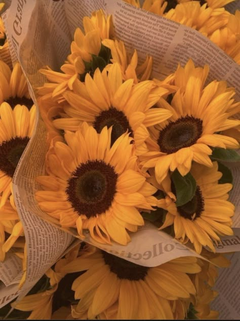 Sunflower Asethic, Sunflower Asthetic Picture, Vintage Sunflower Aesthetic, Sunflower Bouquet Aesthetic, Fairies Aesthetic, Chammak Challo, Giving Flowers, Sunflowers And Daisies, Sunflower Pictures