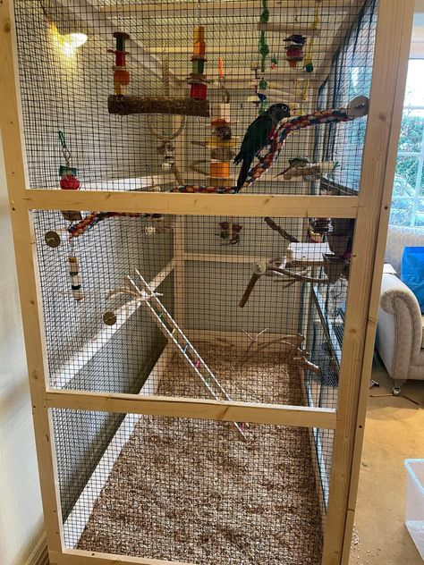 Finch Bird Cage Ideas, Bird Enclosure Indoor, Cockatiel Enclosure, Diy Bird Aviary Indoor, Conure Cage Setup Ideas, Indoor Aviary Ideas, Diy Parrot Cage, Bird Aviary Ideas, Indoor Bird Aviary