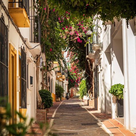 I think we're a bit obsessed with Marbella Old town. I definitely didn't expect it to be anything like this. There are so many streets to explore that 5 days in we are still getting lost. Being on the ground has been a nice change from our normal drone shots 🤟 #marbella #drone #dronephotography #oldtown #spain #malaga #visitspain Malaga Spain Aesthetic, Day Trips From Malaga Spain, Spain Malaga, Malaga Beach, Malaga City, Drone Shots, Malaga Old Town, Marbella Old Town, Malaga Spain