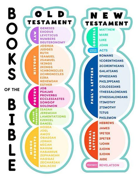 Free Books Of The Bible Printable, Books Of The Bible Categories, Books Of The Bible Printable Free, Books Of The Bible Printable, Free Sunday School Printables, Homeschool Bible Study, Bible Infographics, Sunday School Worksheets, 66 Books Of The Bible