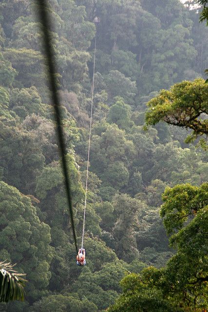 I zipped the largest zip line in the world ~  Arenal Costa Rica...thrilling! Carribean Life, Trip Goals, Rainforest Canopy, Arenal Costa Rica, Going Abroad, Live Abroad, Zip Lining, Costa Rica Vacation, Zip Line