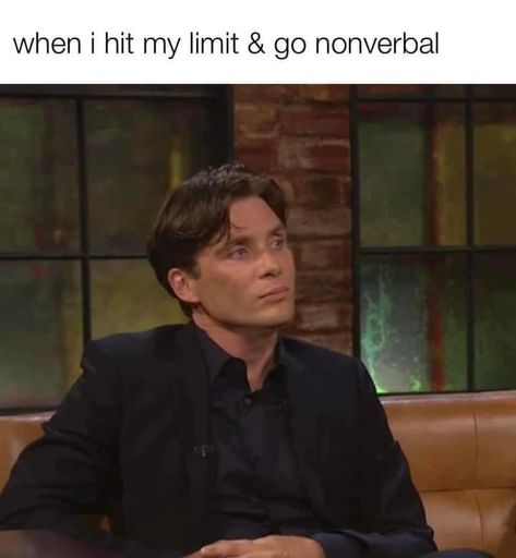 Providence Ri, Cillian Murphy, Funny Relatable Quotes, Intj, I Can Relate, Just Girly Things, How I Feel, Bones Funny, Relatable Quotes