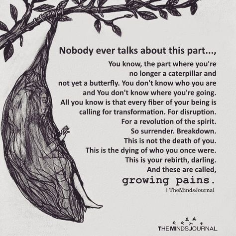 This really gets me in the feels. In the wake of loss, we simply aren't the same person that we once were. The process of transforming into the next version of ourselves requires us to cocoon - to move inward. In a culture that demands us to bounce back quickly, to return to work and social engagements within days, it is often seen as "unhealthy" or "worrisome" to self-isolate and retreat. But this, I believe, is THE most important part of the grief journey. This is the part where we ne... Growing Quotes, Growing Pains, John Maxwell, Psychology Quotes, Growth Quotes, Life Quotes Love, Plot Twist, Mental And Emotional Health, Know Who You Are