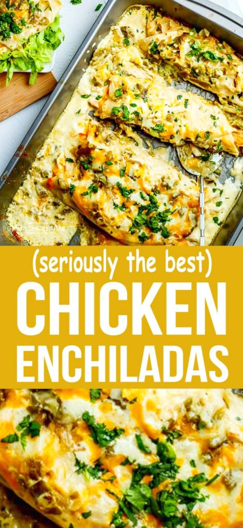 Best Mexican Chicken Recipes, Mexican Dinner Recipes For Family, Yummy Mexican Recipes, Mexican Enchiladas Chicken, Easy White Sauce Enchiladas, Best Enchiladas Chicken, Creamy Enchiladas Chicken, White Enchiladas Chicken, Best Chicken Enchiladas With White Sauce