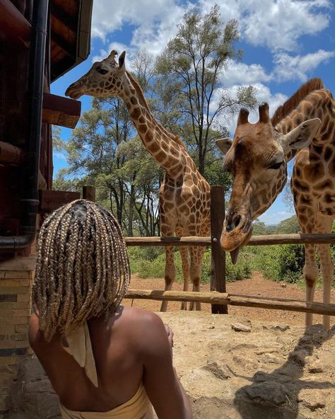 Lady Of Leisure on Instagram: “It was all going so well😂” Lady Of Leisure, Zanzibar Travel, Friend Vacation, Beautiful Photoshoot Ideas, Photo Recreation, Adventure Inspiration, Africa Do Sul, Vacation Mood, South Africa Travel