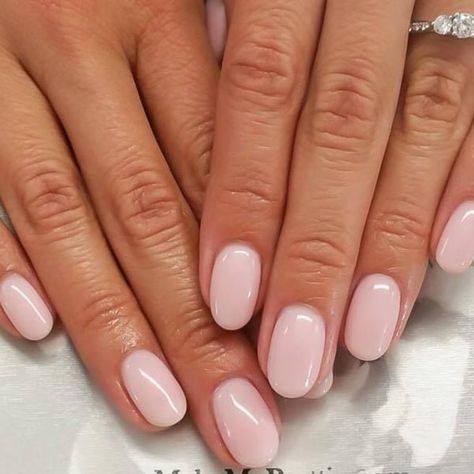 Simple Sheer Nails, Round Nails, Nail Art Wedding, Shellac Nails, Nails 2024, Oval Nails, Neutral Nails, Manicure Y Pedicure, Chic Nails