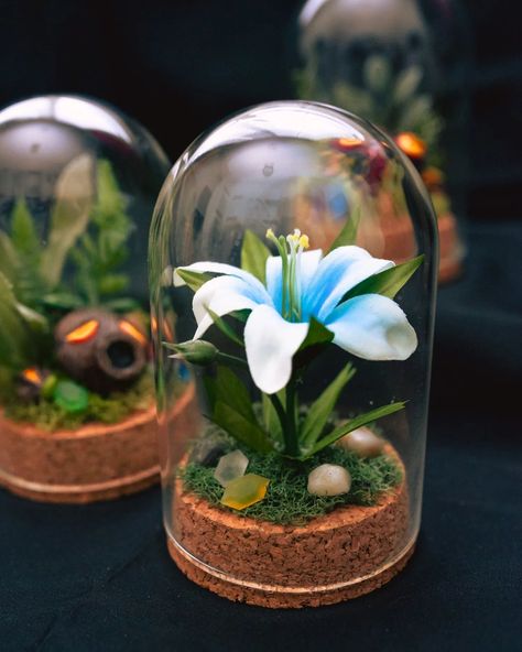 ✨ Silent Princess Mini Terrarium ✨ To see all available pokémon taxidermy, oddities, bugs, skulls, skeletons, and more, check out our website and Etsy shop! Link in bio 🖤 . . #legendofzelda #oddities #loz #videogameart #breathofthewild #botw #aesthetic Zelda Terrarium, Botw Aesthetic, Silent Princess Flower, Zelda Decor, Dome Terrarium, Tarot Prints, Taxidermy Oddities, Monthly Tarot, Silent Princess