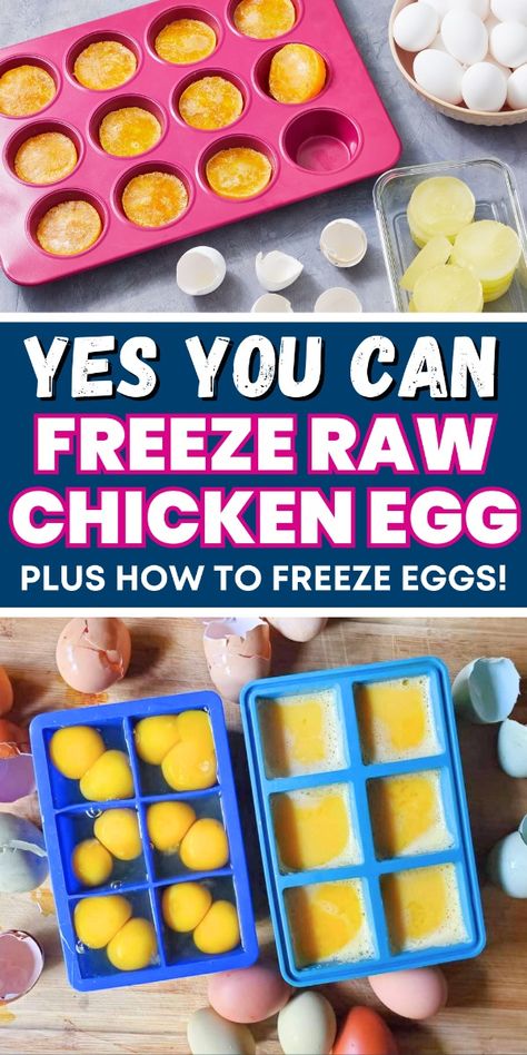 Freezing raw eggs is a great way to extend their shelf life. Follow these simple steps to do it right! Freezing Eggs In Ice Cube Trays, How To Freeze Raw Eggs, Freeze Dry Eggs, Freezing Raw Eggs, Cleaning Farm Fresh Eggs, Can You Freeze Raw Eggs, How To Freeze Eggs The Right Way, Freezing Eggs How To, Freeze Dried Eggs