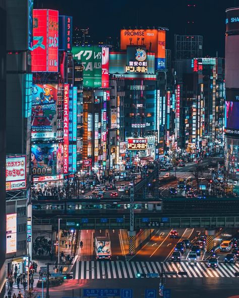 Are you in Tokyo and you are looking for a place to go on a fun night out with your friends, or perhaps you want to meet new and interesting people from all over the world? Look no further than Shinjuku. There are so many bars and clubs there and you are sure to find something that suits your style.⁣⁣ 📷 agilridha⁣⁣ Photos Of Japan, Tokyo Photography, Places In Tokyo, City Streets Photography, Tokyo Streets, Kabukicho, Japanese Travel, Japan Guide, Tokyo Night