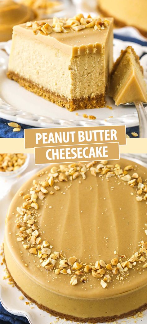 This Peanut Butter Cheesecake is thick, creamy and full of peanut butter! The peanut butter filling sits in a Nutter Butter cookie crust and is topped with rich peanut butter ganache! The best cheesecake for peanut butter lovers! Thanksgiving Desserts Peanut Butter, Best Peanut Butter Cheesecake, Baked Peanut Butter Cheesecake, No Bake Cheesecake Peanut Butter, Peanut Butter Chews Recipes, Peanut Butter Cookie Cheesecake, Peanut Butter Pastries, Peanut Butter Jelly Cheesecake, White Chocolate Peanut Butter Cheesecake