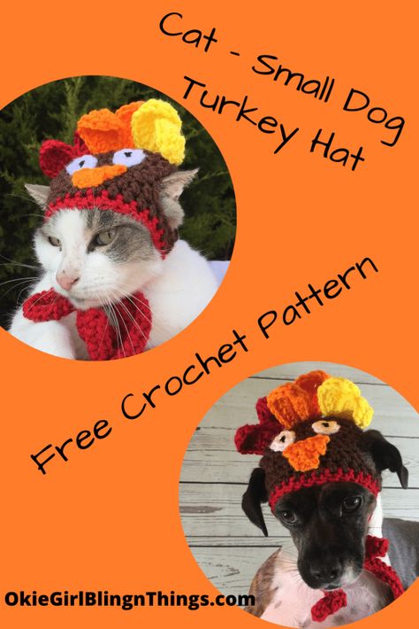 Cat - Small Dog Turkey Hat - Free Crochet Pattern - OkieGirlBling'n'Things Crochet Pet Hats Free Pattern, Crochet Pumpkin Hat For Dog Free Pattern, Free Crochet Cat Hat, Crochet Cowboy Cat Hat Free Pattern, Crochet Dog Sweater Fall, Hat For Dogs Crochet, Crochet Dog Hat Free Pattern, Crochet Dog Witch Hat, Cat Afghan