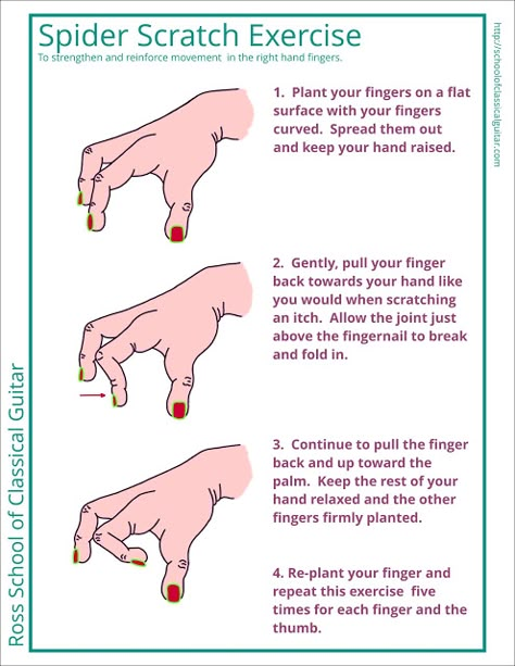 Guitar Hands, Guitar Things, Guitar Hand Exercises, Finger Stretches For Guitar, How To Finger Pick Guitar, What Are The Strings On A Guitar, Tips For Playing Guitar, Bass Guitar Notes, Classical Guitar Lessons