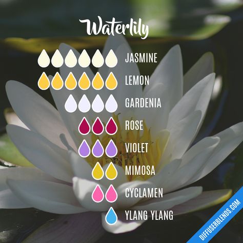 Violet Essential Oil, Scent Combos, Essential Oil Perfumes Recipes, Essential Oil Combinations, Essential Oil Diffuser Blends Recipes, Jasmine Essential Oil, Essential Oils Guide, Diy Perfume, Essential Oil Diffuser Recipes