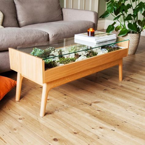 Terrarium Table - this is part garden part coffee table! The table is solid oak with a toughened glass top and fully lined with a… Terrarium Coffee Table, Enchanting Bedroom, Bedroom Unicorn, Terrarium Table, Mini Serre, Unicorn Decor, Plant Table, Terrarium Diy, Table Diy