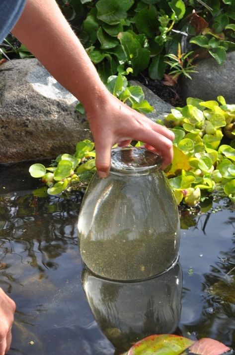 Step 4- Flip vase Diy Gnome Garden, Gnome Garden Ideas, Fish Tower, Fish Ponds Backyard, Container Pond, Patio Pond, How To Make Water, Diy Gnome, Goldfish Pond