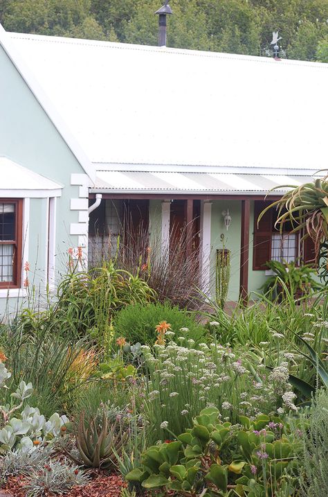 Back to Africa: At Home in My Mother's Garden - Gardenista Garden Ideas South Africa, Colonial Farmhouse, Waterwise Garden, Wildlife Garden, Budget Garden, Organic Vegetable Garden, Africa Do Sul, Coastal Gardens, Garden Route