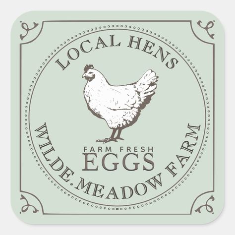 VINTAGE HEN FARM FRESH EGG Pale Green Ornate Frame Square Sticker Hen Illustration, Hen Farm, Fresh Egg, Backyard Chicken Farming, Business Labels, Earth Tone Color, Farm Eggs, Frame Square, Hen House