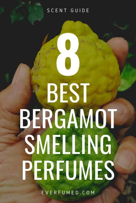 Most citrus scents in perfume are familiar: lemon, orange, or clementine for example. But there’s one widely used exception: bergamot. Read the article for our top 8 bergamot unisex perfumes. #parfum #fragrance Perfumes With Bergamot, Homemade Perfumes, Bergamot Perfume, Fragrance Making, Bergamot Tea, Citrus Perfume, Diy Fragrance, Best Perfume For Men, Summer Perfume