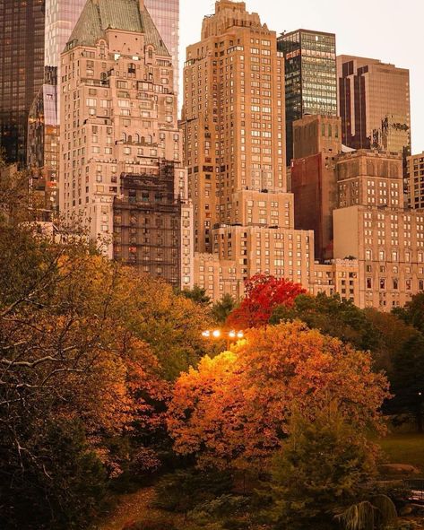 New York City 🗽 NYC Travel | Hotels | Food | Tips | @ibrox.7 here with a little reminder...NYC will soon be awash in autumn colors!🍁🍂 👇What’s your favorite autumn spot in NYC? | Instagram Nyc In Autumn, New York Autumn Aesthetic, New York Fall Aesthetic, New York In Autumn, Chicago Autumn, Fall New York City, New York City Fall, Autumn Academia, Autumn Pics