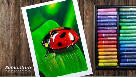 Oil pastel lovers can follow my Youtube channel (sumon555) Ladybug Insect Drawing, Ladybug Realistic, Draw A Ladybug, Pastel Drawing Tutorial, Basic Drawings, Oil Pastel Techniques, Oil Pastel Crayons, Pencil Tutorial, Anime Canvas Painting