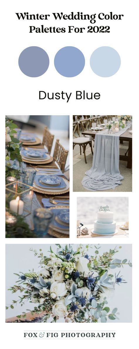 Winter Wedding Blue And Silver, Dusty Blue Winter Wedding, Dusty Blue Color Palette, Small Winter Wedding, Winter Wedding Color Palette, Blue Winter Wedding, Wedding Day Tips, January Wedding, Wedding Colors Purple