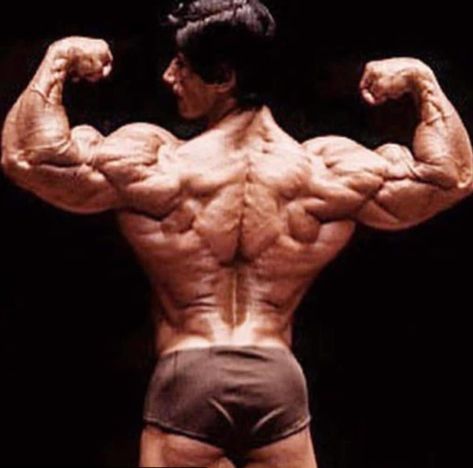 Danny Padilla, Bodybuilding Aesthetic, Old Bodybuilder, Frank Zane, Schwarzenegger Bodybuilding, Joe Weider, Bodybuilding Pictures, Venice California, Arnold Classic