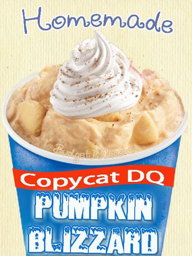 Copycat DQ Pumpkin Pie Blizzard Pumpkin Pie Blizzard Recipe, Blizzard Recipe, Pumpkin Pie Shake, Dairy Queen Ice Cream Cake, Cake Pumpkin, Pumpkin Pie Ice Cream, Pumpkin Ice Cream, Pumpkin Pie Mix, Cheap Recipes