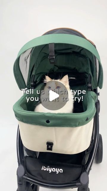 IBIYAYA | Pet Products and Pet Stroller on Instagram: "Have you tried different ways to fold pet strollers? 
Among the nearly 20 Ibiyaya strollers available, there are multiple folding mechanisms. 
Which one would you find interesting to try?
-
#funfact #triviachallenge #petstroller #petproducts" Pet Strollers, Pet Stroller, Have You Tried, Pet Products, You Tried, Trivia, Stroller, Fun Facts, Pet