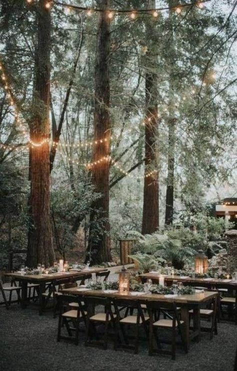 Woodland Forest Wedding, Forest Wedding Reception, Forest Ideas, Sage Green Wedding Colors, Wedding Woodland, Woodland Wedding Inspiration, Twilight Wedding, Forest Theme Wedding, Wedding Reception Ideas