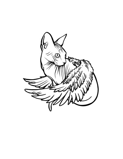 Line art digital drawing / tattoo design of sphinx cat with wings. Spinx Cat Tattoo, Sphinx Cat Tattoo, Sphinx Tattoo Cat, Cat With Wings Tattoo, Cat With Wings, Sphinx Cat Drawing, Cat With Wings Drawing, Sphynx Cat Tattoo Design, Sphynx Cat Drawing Tattoo