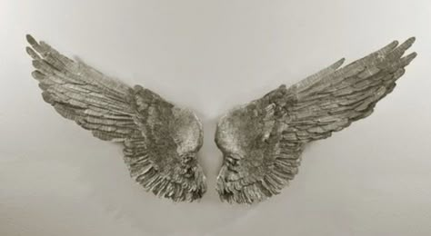 Adara Sanchez, The Fallen Angel, God Loves You, Fallen Angel, Angel Wings, Aesthetic Pictures, White Background, Dibujos Bonitos, The Wall