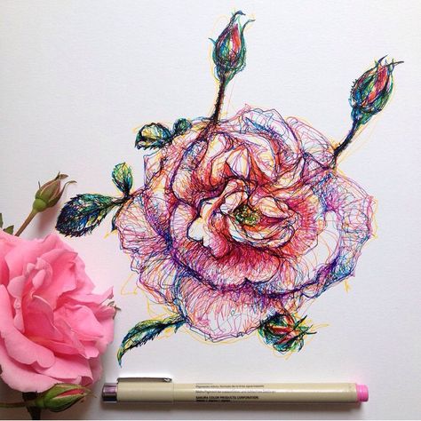 ❤️ Noel Badges Pugh, Flower Drawing Tutorials, Scribble Art, Artist Sketchbook, Flower Sketches, Art Flowers, Ink Illustrations, Cool Paintings, A Drawing