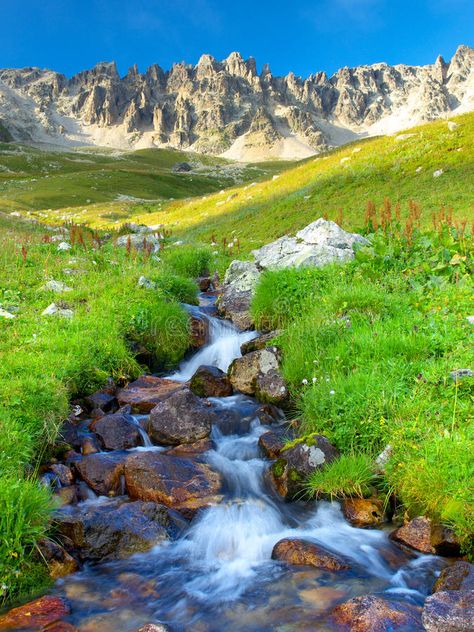 Rivers And Mountains, Leaves On A Stream, Meadow With River, River Between Mountains, Water Grass, Yellow River, Wild Grass, Grassy Field, Green Environment