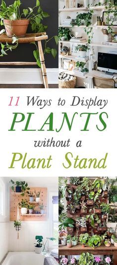 Ways To Display Plants, Indoor Plant Display, Plant Display Ideas, Indoor Plants Styling, Tattoo Plant, Indoor Plant Wall, Window Plants, Hanging Plant Wall, Hanging Plants Indoor