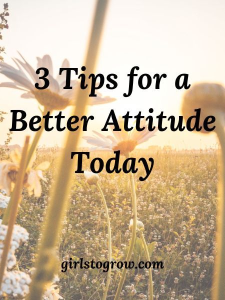 Better Attitude, Attitude Adjustment, Importance Of Reading, Walk With God, Attitude Is Everything, Womens Bible Study, Thy Word, Worship God, Know It All