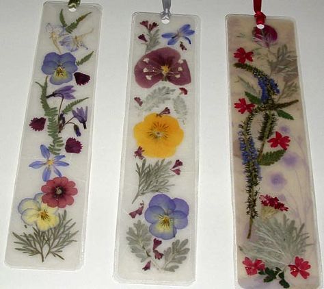 Now that summer has arrived and the flowers are in full bloom, why not use nature’s florals to make unique gifts for  the special people in... Pressed Flower Bookmarks, Pressed Flowers Diy, Drying Flowers, Press Flowers, Flower Bookmarks, Pressed Flower Crafts, Flower Press, Dried And Pressed Flowers, Flower Bookmark