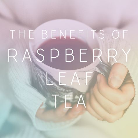 Benefits Of Raspberry Leaf Tea, Raspberry Leaf Tea Benefits, Kombucha Benefits, Calendula Benefits, Raspberry Leaf Tea, Red Raspberry Leaf, Fruit Health Benefits, Raspberry Leaf, Raspberry Tea