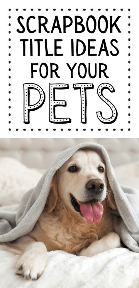 Dog Layouts Scrapbooking, Puppy Scrapbook Layouts, Dog Journal Ideas, Dog Scrapbook Layouts Ideas, Scrapbooking Pets, Dog Scrapbook Layouts, Scrapbooking Titles, Scrapbook Tips, Pet Scrapbook Layouts