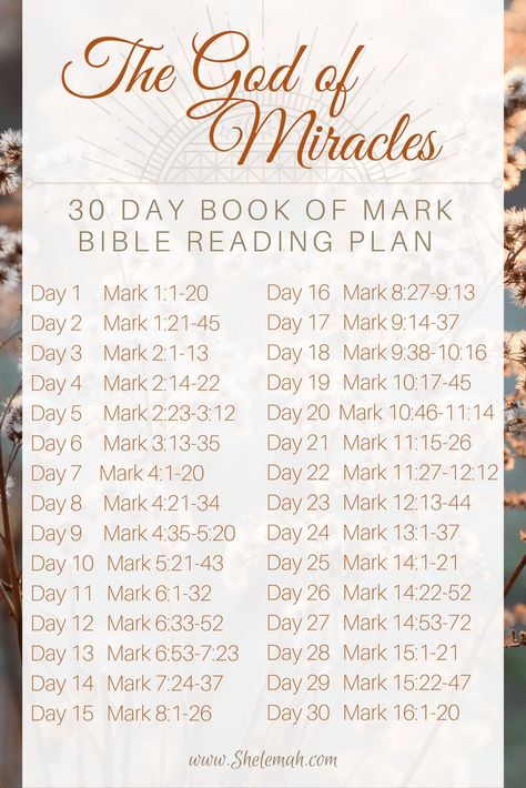 The God of miracles 30 day Bible study reading plan through the book of Mark God Of Miracles, Pray For Healing, Mark Bible, Scripture Writing Plans, Bible Study Plans, Bible Study Tips, Bible Challenge, How To Pray, Bible Study Notebook