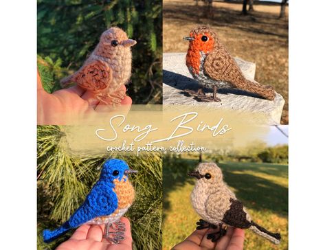 Crochet Bluebird, Female Sparrow, Realistic Crochet, European Robin, Song Birds, Eastern Bluebird, Crochet Birds, Bird Patterns, Unique Crochet