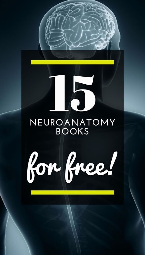 Neuroanatomy books? You've found what you've been looking for! Today we present to you more than 15 books about Neuroanatomy that you can read absolutely free. You can read them online or download them in PDF format. #infobooks #freebooks #pdfbooks #downloadbooks #Neuroanatomybooks #Neuroanatomy Engineering Books, Read For Free, Medical Books, Books For Free, University Of Calgary, Study Related, Books To Read Nonfiction, Medicine Book, Medication Management