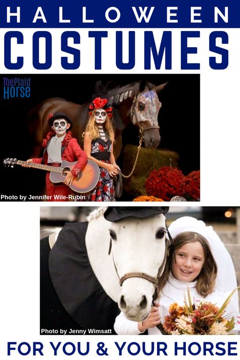 Easy Horse Costumes, Horse And Rider Costumes Diy Easy, Horse Halloween Costumes Equestrian, Horse Halloween Costumes Ideas, Horse And Rider Costumes, Horse Halloween Ideas, Pony Costumes, Horse Rider Outfit, Horse Halloween Costumes