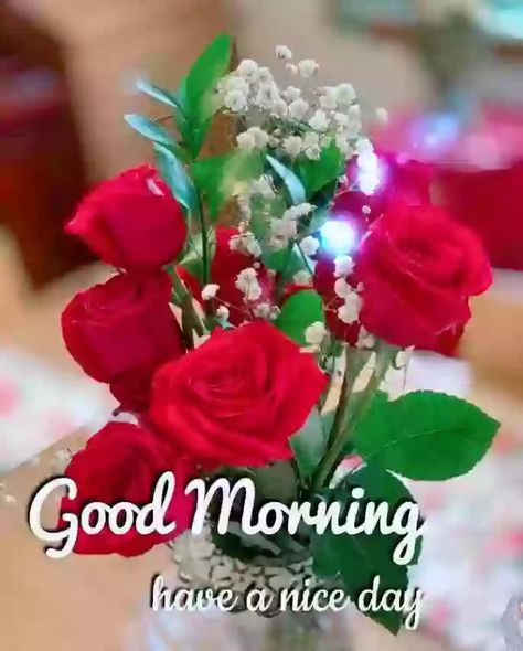 Good Morning Flower Wish Status Video - Good Morning Video Roses For Him, Good Morning Videos, Whatsapp Good Morning, Good Morning Pics, Good Morning Happy Sunday, Good Morning Roses, Good Morning Beautiful Flowers, Morning Pics, Good Morning Flowers Pictures